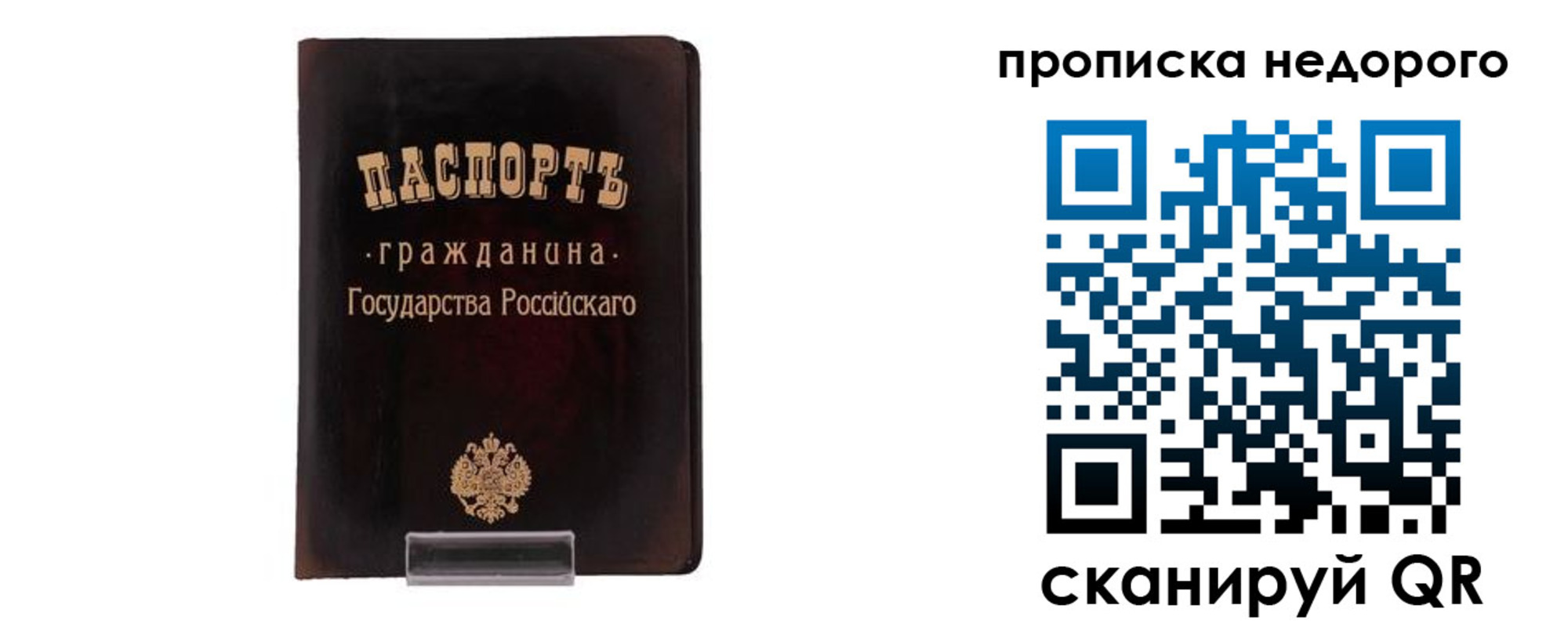 прописка гарантия в Железногорске